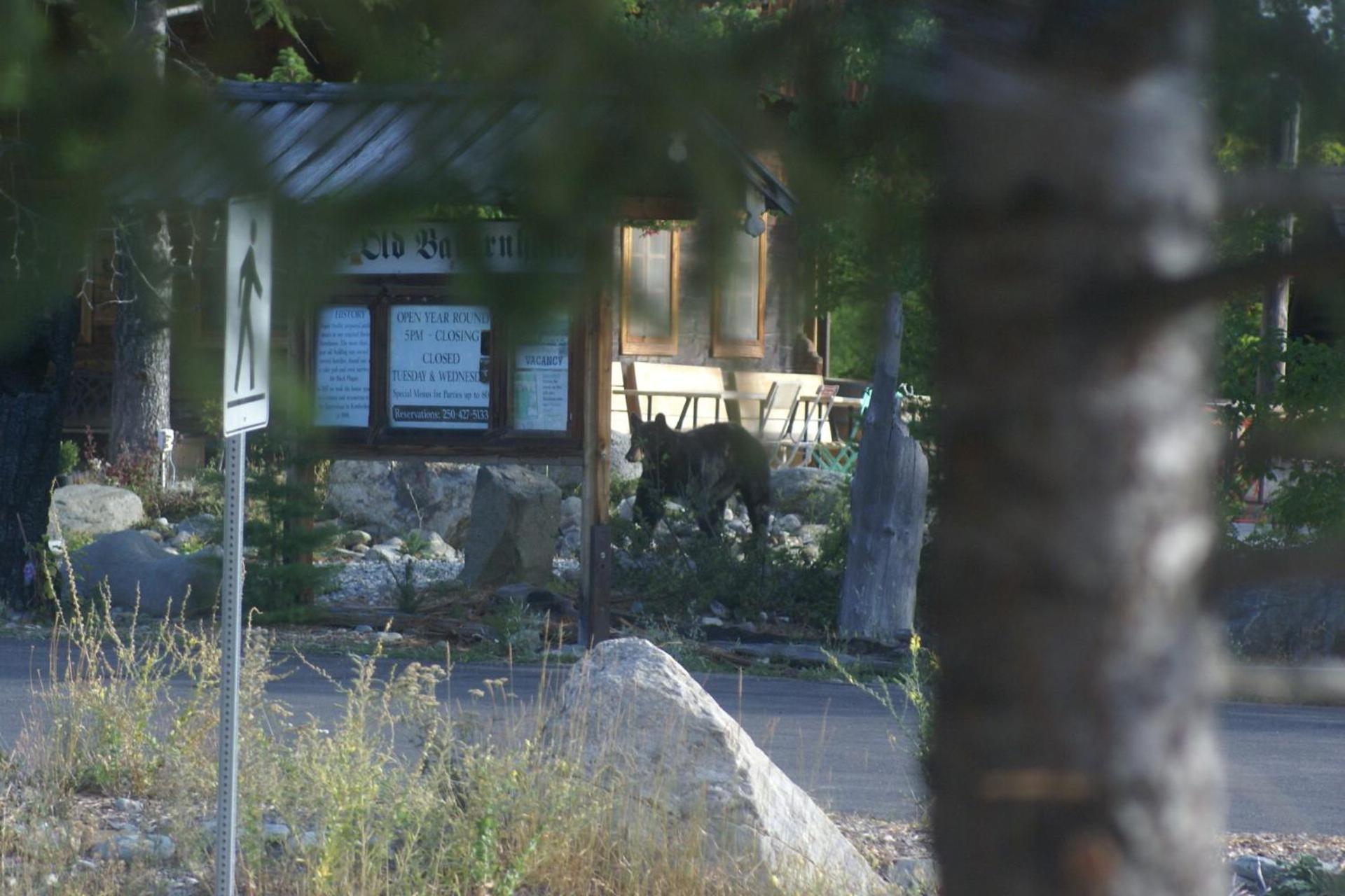 Alpenglow Bed And Breakfast Kimberley Esterno foto