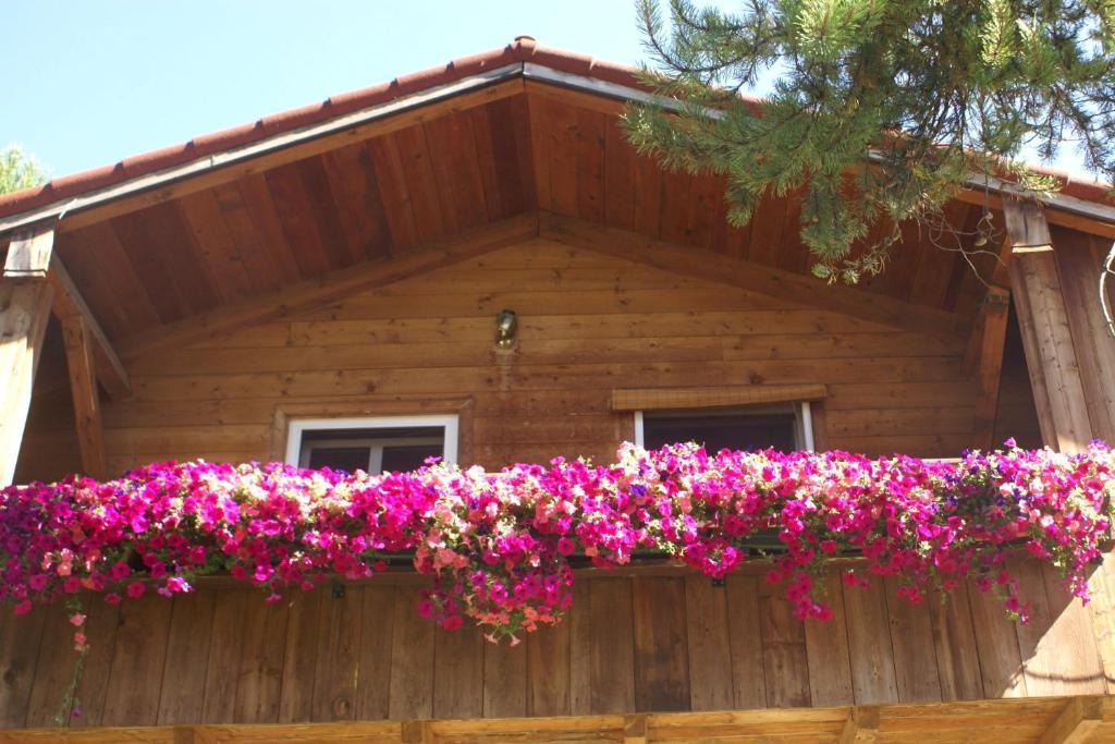 Alpenglow Bed And Breakfast Kimberley Camera foto